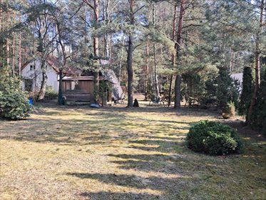 Działka z domkiem w Rosanowie – prywatność i natura działka Rosanów, Poprzeczna