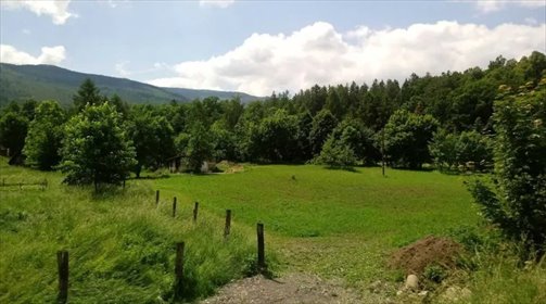 działka na sprzedaż 8238m2 działka Kowary