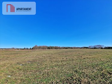 Na sprzedaż działka 3677 m² pod dom w otoczeniu natury działka Węsiory
