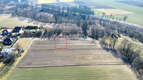 Działka budowlana na sprzedaż Przyszowice 1 150m2 Foto 5