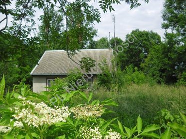 Działka siedliskowa na sprzedaż Jędrzejów Nowy 3 500m2 Foto 3