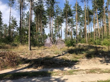 działka na sprzedaż 3412m2 działka Wygoda