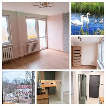 mieszkanie na sprzedaż 46m2 mieszkanie Bytom, Bytom Miechowice, Miechowice