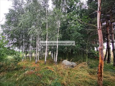 działka na sprzedaż 1521m2 działka Pławna