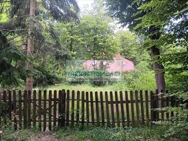 Zapraszam do obejrzenia działki 1809 m² w Podkowie Leśnej działka Podkowa Leśna