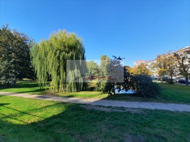 mieszkanie na wynajem 77m2 mieszkanie Warszawa, Śródmieście, Leszczyńska