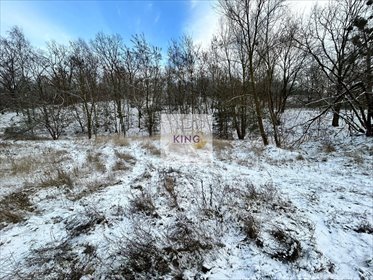 działka na sprzedaż 1600m2 działka Czepino