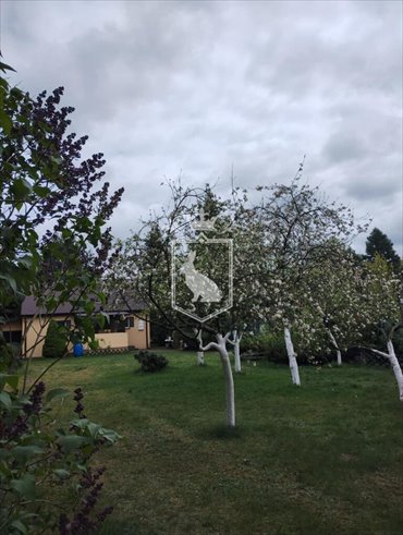 dom na sprzedaż 100m2 dom Tabor