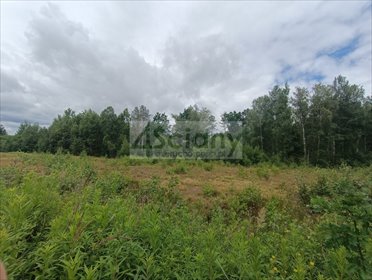Działka 2128 m² z warunkami zabudowy i starodrzewiem działka Warszawa, Białołęka