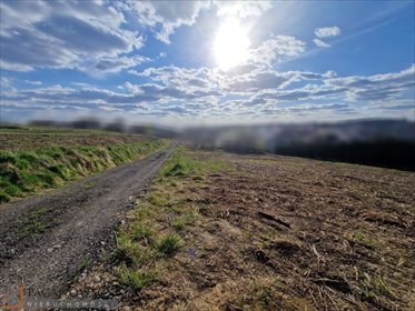 działka na sprzedaż 1099m2 działka Bibice