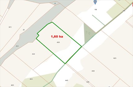 działka na sprzedaż 16000m2 działka Belno