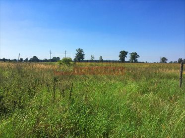 Działka inna na sprzedaż Kościerzyce 2 500m2 Foto 1