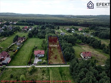 Działka pod domy jednorodzinne z sosnami, prywatność działka Płoki