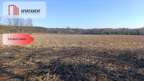 Polecam działkę rolną 24 123 m² w Dolinie Baryczy działka Bukowice