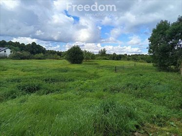 działka na sprzedaż 26815m2 działka Świecie Kołobrzeskie