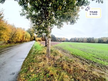 Działka rekreacyjna na sprzedaż Mianów 2 828m2 Foto 1
