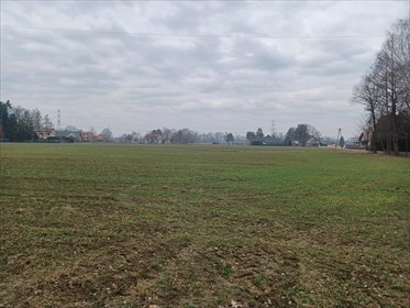 Działka budowlana na sprzedaż Ochaby Wielkie 15 747m2 Foto 2