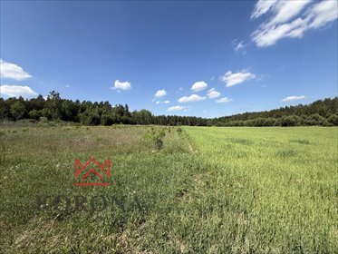Atrakcyjna działka pod zabudowę jednorodzinną - 20 759 m². działka Leńce