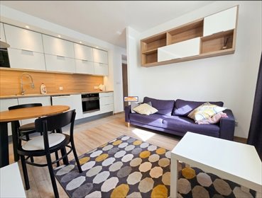 Wynajem 28 m² w Krakowie (blisko Parku Krakowskiego) mieszkanie Kraków, Krowodrza, Juliusza Lea