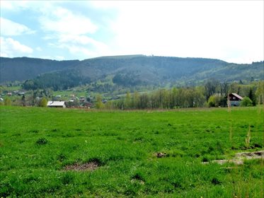 Działka inwestycyjna na sprzedaż Kozubnik 5 800m2 Foto 2
