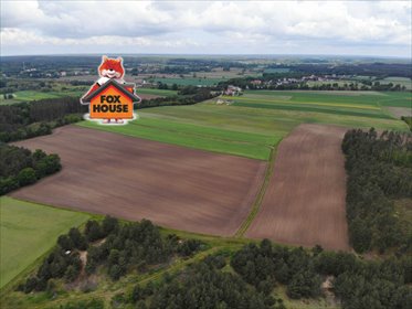 działka na sprzedaż 85200m2 działka Kierżno