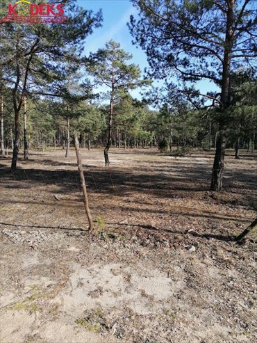 działka na sprzedaż 2094m2 działka Michałów-Reginów