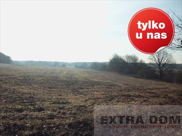 Dom na sprzedaż Sulęcin 690 000m2 Foto 6