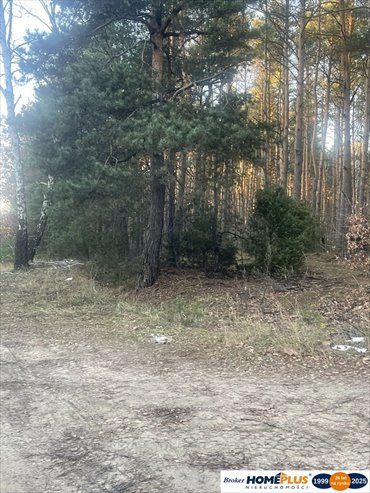 działka na sprzedaż 55416m2 działka Radzymin