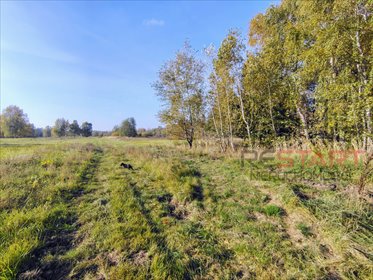 Działka 7 800 m² w Kozerkach z potencjałem zapraszam działka Kozerki
