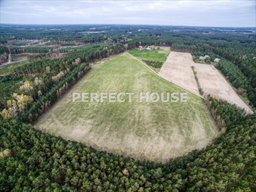 Działka budowlana na sprzedaż Kuślin 22 293m2 Foto 2