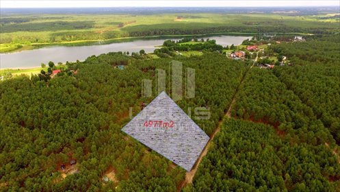 Do sprzedania działka leśna 4 977 m² w Borach Tucholskich działka Ostrowite