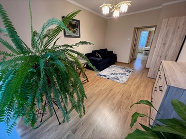 Kawalerka na wynajem Łódź, Śródmieście, Śródmieście, Pomorska 35m2 Foto 5