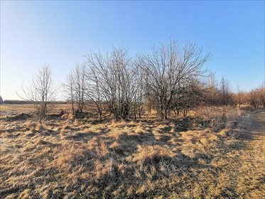 działka na sprzedaż 2700m2 działka Skryhiczyn