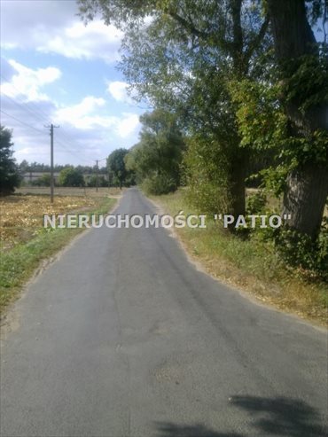 Działka budowlana na sprzedaż Czarne Piątkowo 19 500m2 Foto 6