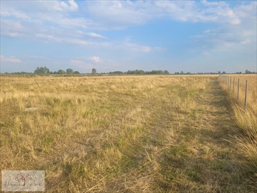 działka na sprzedaż 1960m2 działka Skotniki