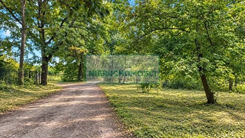 Na sprzedaż duża działka 9 800 m² w Milanówku z możliwością podziału działka Milanówek
