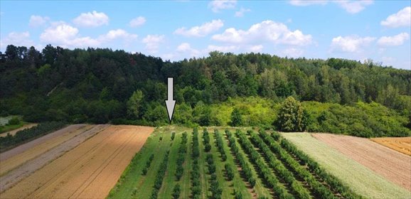 Działka 700 m² w pięknej okolicy (las, rzeka, Jurapark) działka Pętkowice
