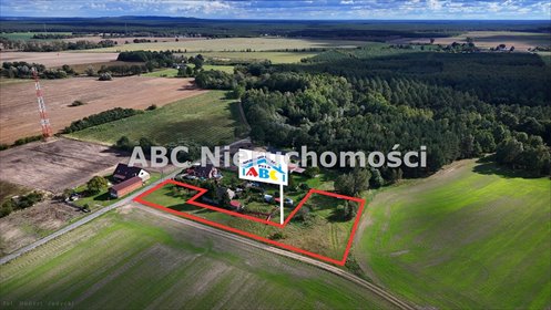 Zapraszam do obejrzenia działki 3639 m² w Nowej Wsi Ujskiej działka Nowa Wieś Ujska