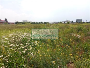 Działka 1365 m2 z mediami, warunki zabudowy Radonice działka Radonice