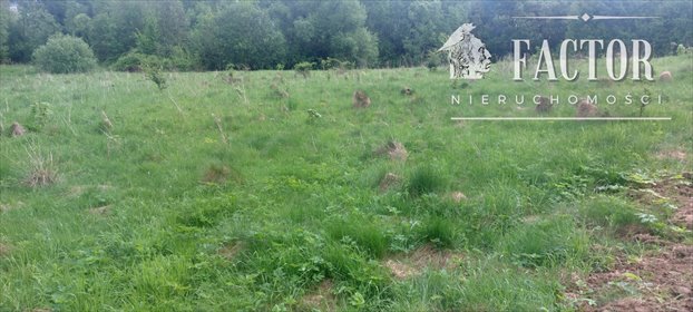 działka na sprzedaż 3000m2 działka Siary