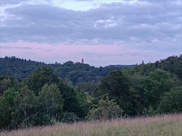 działka na sprzedaż 19704m2 działka Niedźwiedzica