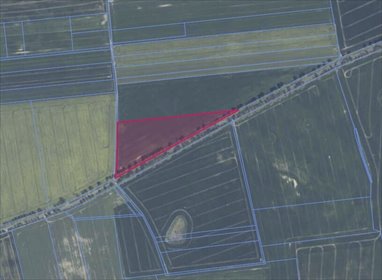 działka na sprzedaż 26200m2 działka Banie