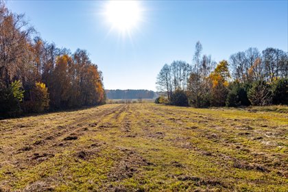 działka na sprzedaż 5150m2 działka Stare Krasnodęby