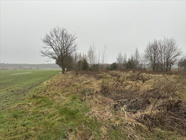 działka na sprzedaż 14400m2 działka Róża