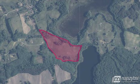 działka na sprzedaż 181700m2 działka Borne