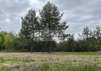 Polecam działkę 3155 m² z mediami i MPZP w Maryninie działka Marynin