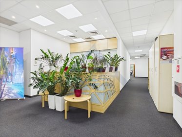 lokal użytkowy na wynajem 210m2 lokal użytkowy Warszawa, Śródmieście, Powiśle, Solec