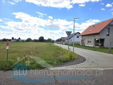 Zapraszam do zakupu działki 10 ar w Kotli z uzbrojeniem działka Kotla