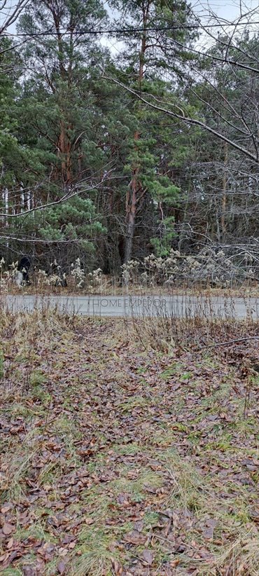 działka na sprzedaż 2835m2 działka Warszawa, Wawer, Miedzeszyn, Liliowa