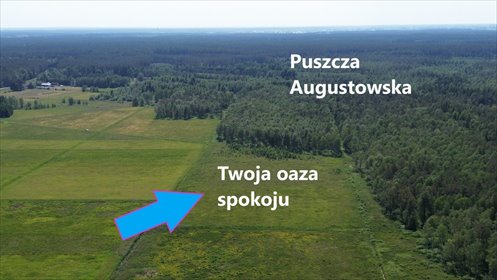 działka na sprzedaż 20000m2 działka Augustów